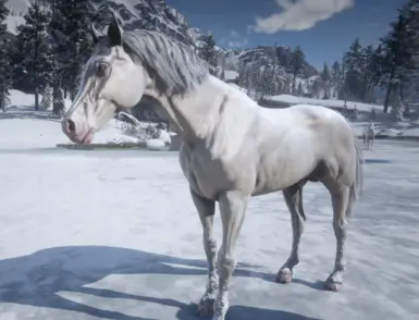 BIGGER The Count - Dutch Horse