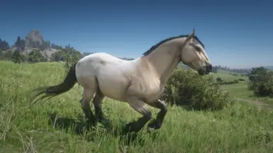 Buttermilk Buckskin Blanket