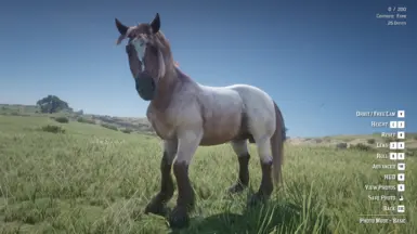 Red Roan Snowcap