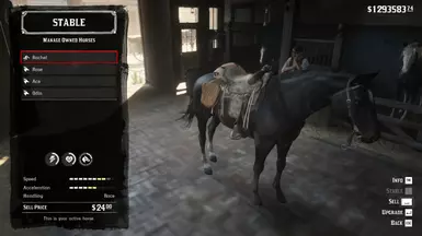Red dead redemption 2 BEST Save file (by Elijahc170)