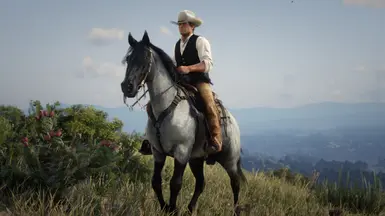 Blue Roan