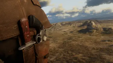 Double Action