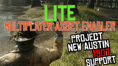 LITE - Multiplayer Asset Enabler