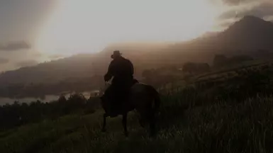 reshade