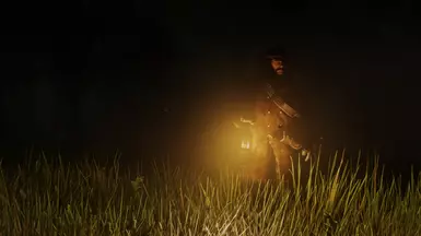 reshade