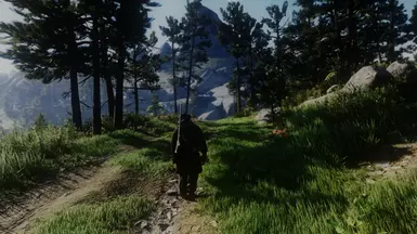 reshade