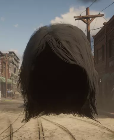 Rdr 1 Hair but an Object