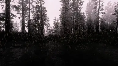 Rain Particles - Before
