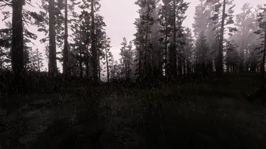Rain Particles - After