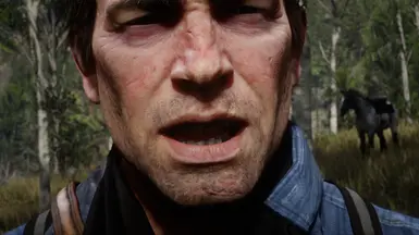 Normal 1080p (and below)