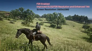 Enhanced Edition