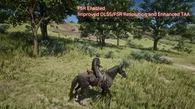 Enhanced Edition