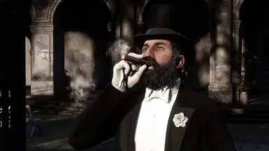 Fashionable Dutch