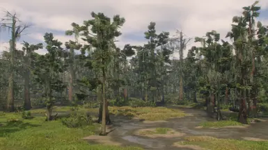 Beta leaves
