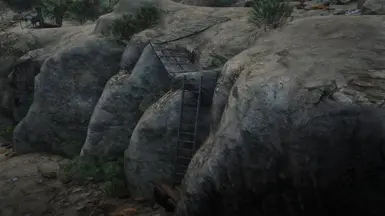 Ladder