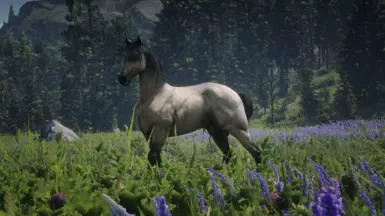 Buckskin
