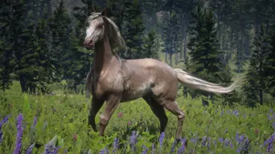 Palomino Dapple