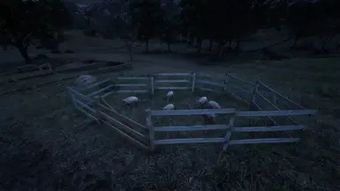 Pigs
