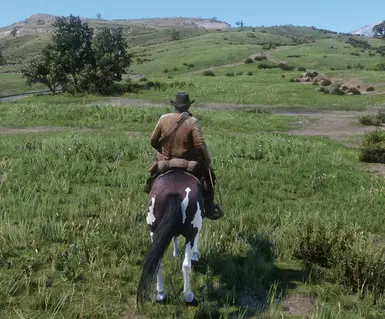 Disable Lasso Dragging Damage