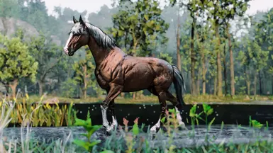 Flaxen Chestnut
