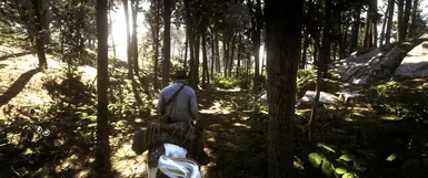 Reshade on