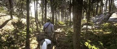 Reshade off