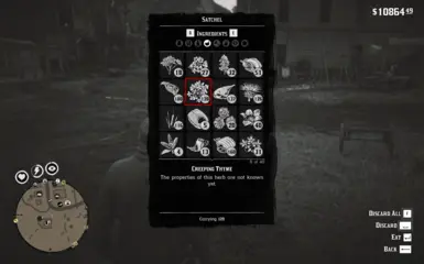 INFINITE ITEM CARRY CAPACITY FOR SATCHEL AND INFINITE AMMO