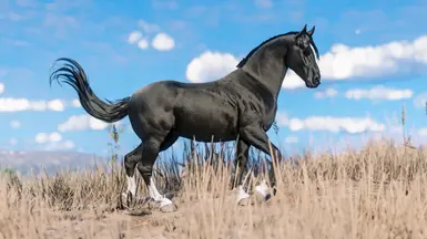 Black Blaze