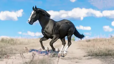 Black Blaze