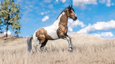 Buckskin Tobiano