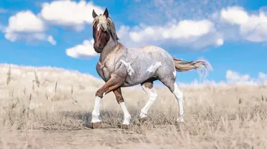Red Roan Paint