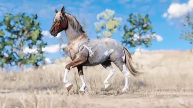 Red Roan Paint
