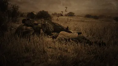 Horse Nap