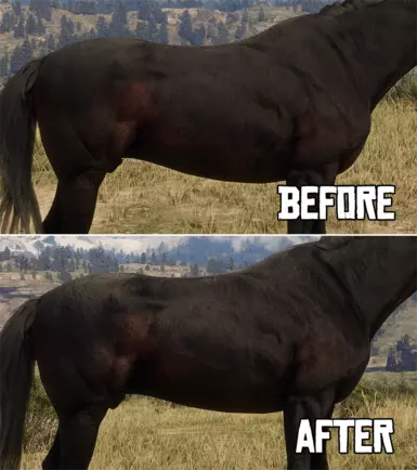 Seal Brown Thoroughbred
