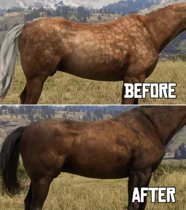Optional File - Palomino Dapple to Bay