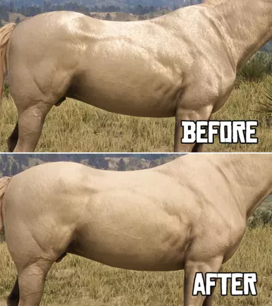 Optional File - Reduced Coat Shine
