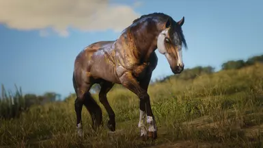 Sooty Buckskin