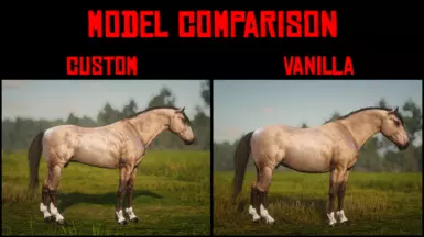 Model Comparison
