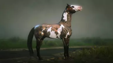 Bay Roan Overo