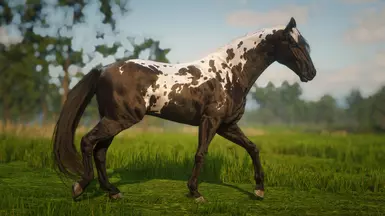 Smoky Black Manchado