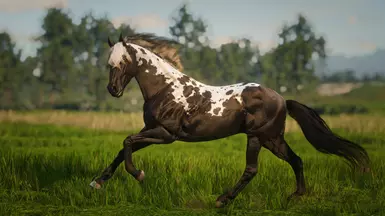 Smoky Black Manchado