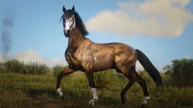 Sooty Buckskin