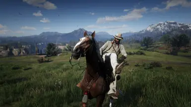 This 2.9GB Mod for Red Dead Redemption 2 overhauls all horse textures