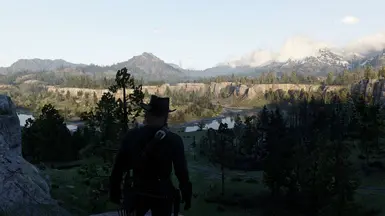 Reshade Off