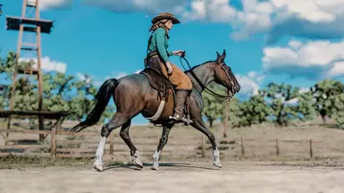 Smokey Bay Roan