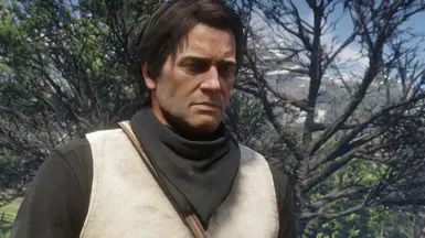 Young, Current and Old, Arthur Morgan : r/reddeadredemption2