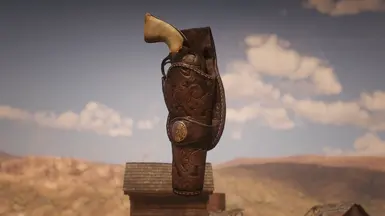 John's holster