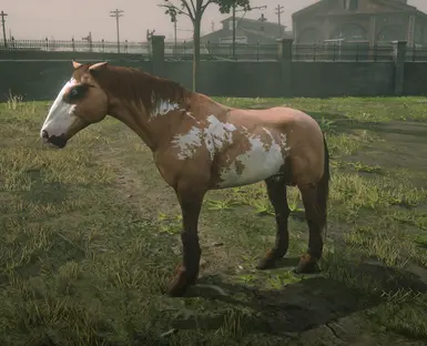 Online Turkoman Horses At Red Dead Redemption 2 Nexus Mods And Community   815 1625756406 578587873 