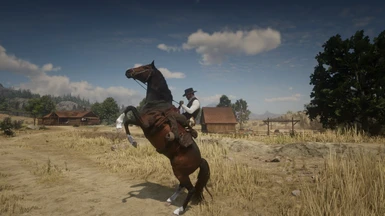 Nebu Hovedkvarter Gentage sig Bigger Horses at Red Dead Redemption 2 Nexus - Mods and community