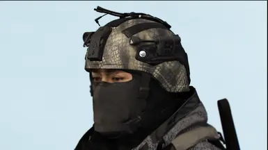 Mich Helmet 2.0
